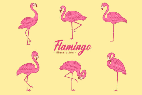 42 Set Cute Flamingo pink Bird flamingos Aesthetic Tropical Exotic Clipart