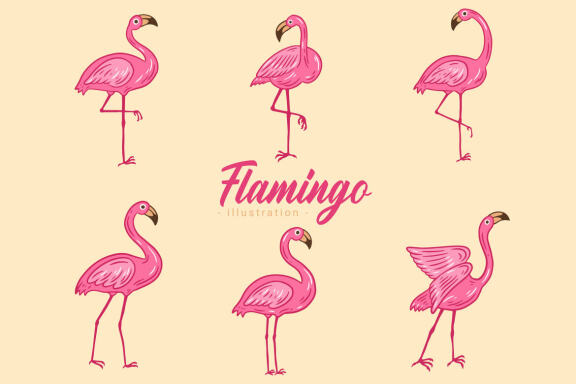 42 Set Cute Flamingo pink Bird flamingos Aesthetic Tropical Exotic Clipart