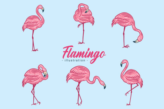 42 Set Cute Flamingo pink Bird flamingos Aesthetic Tropical Exotic Clipart