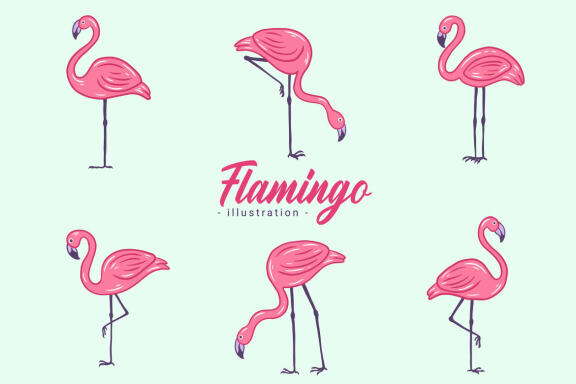 42 Set Cute Flamingo pink Bird flamingos Aesthetic Tropical Exotic Clipart