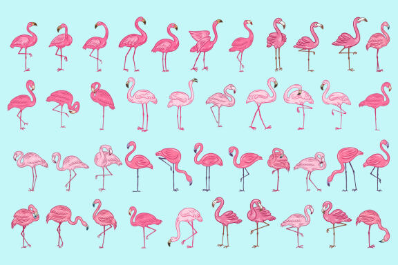 42 Set Cute Flamingo pink Bird flamingos Aesthetic Tropical Exotic Clipart