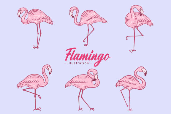 42 Set Cute Flamingo pink Bird flamingos Aesthetic Tropical Exotic Clipart