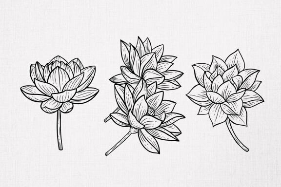 15 Set Bundle Lotus Flower Line Art Relax Meditation Fine Hand Drawn Floral