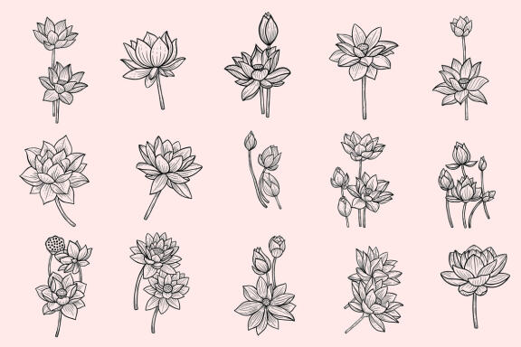 15 Set Bundle Lotus Flower Line Art Relax Meditation Fine Hand Drawn Floral
