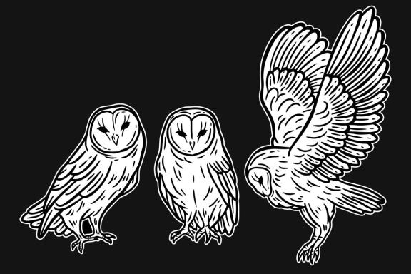 24 Set Bundle Owl Bird Animal Clipart Hand Drawn Engraving Style