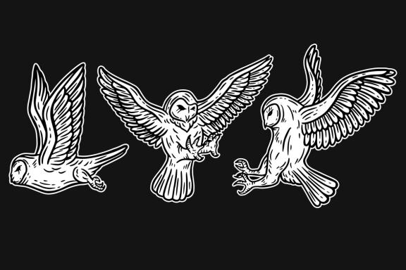 24 Set Bundle Owl Bird Animal Clipart Hand Drawn Engraving Style