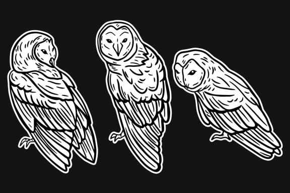 24 Set Bundle Owl Bird Animal Clipart Hand Drawn Engraving Style