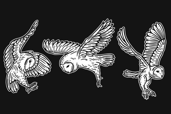 24 Set Bundle Owl Bird Animal Clipart Hand Drawn Engraving Style
