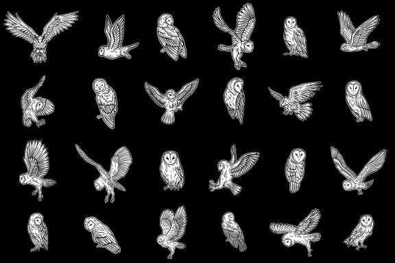 24 Set Bundle Owl Bird Animal Clipart Hand Drawn Engraving Style
