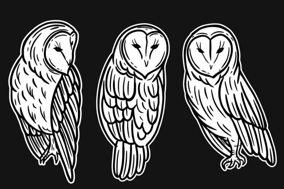 24 Set Bundle Owl Bird Animal Clipart Hand Drawn Engraving Style