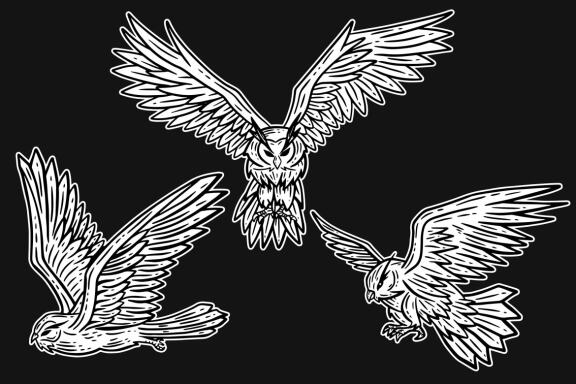 24 Set Bundle Owl Bird Animal Clipart Hand Drawn Engraving Style