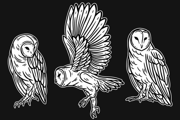 24 Set Bundle Owl Bird Animal Clipart Hand Drawn Engraving Style