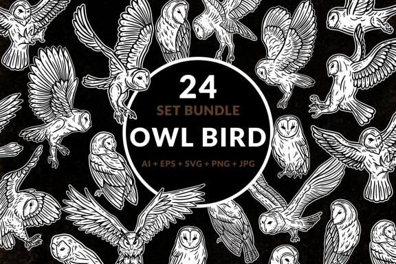 24 Set Bundle Owl Bird Animal Clipart Hand Drawn Engraving Style