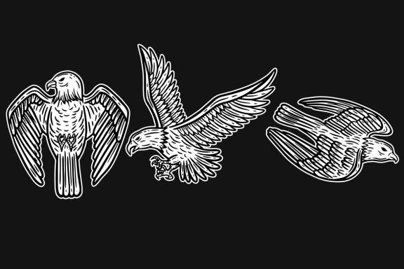 24 Set Bundle Eagle Head Bird Animal Logo Artwork Clipart Engraving Style