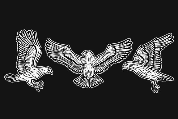 24 Set Bundle Eagle Head Bird Animal Logo Artwork Clipart Engraving Style