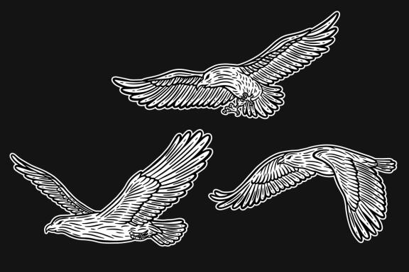 24 Set Bundle Eagle Head Bird Animal Logo Artwork Clipart Engraving Style