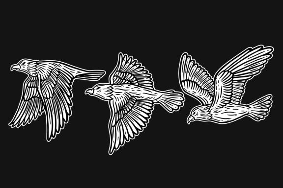 24 Set Bundle Eagle Head Bird Animal Logo Artwork Clipart Engraving Style