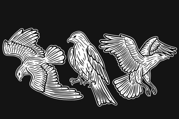 24 Set Bundle Eagle Head Bird Animal Logo Artwork Clipart Engraving Style