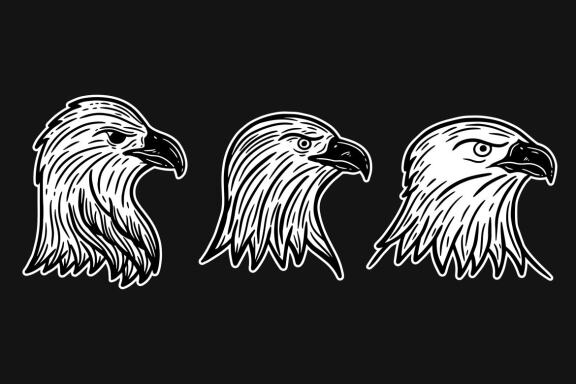 24 Set Bundle Eagle Head Bird Animal Logo Artwork Clipart Engraving Style