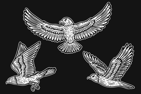 24 Set Bundle Eagle Head Bird Animal Logo Artwork Clipart Engraving Style