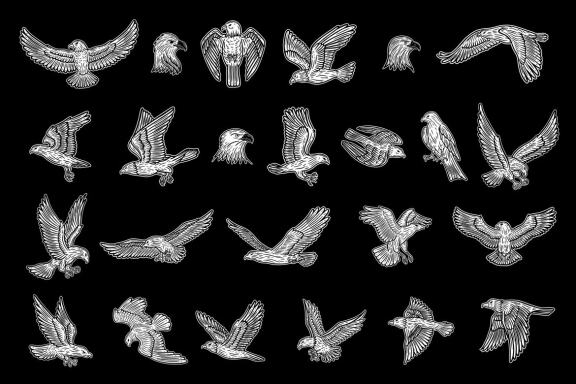24 Set Bundle Eagle Head Bird Animal Logo Artwork Clipart Engraving Style