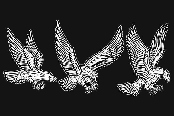 24 Set Bundle Eagle Head Bird Animal Logo Artwork Clipart Engraving Style