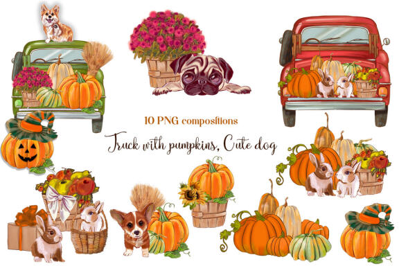 Sunflower pumpkin picker, Cute dog autumn PNG compositions