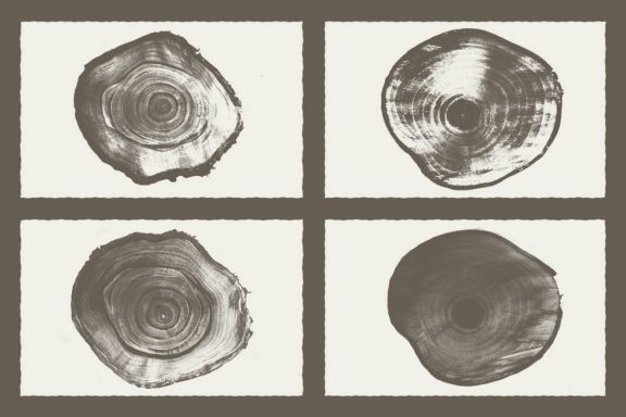 Wood Texture Background Pack