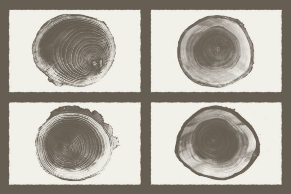 Wood Texture Background Pack