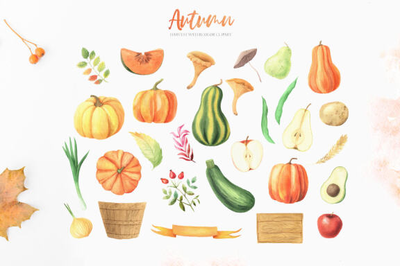 Watercolor Fall Autumn Harvest Clipart