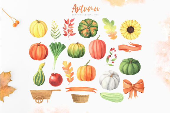 Watercolor Fall Autumn Harvest Clipart