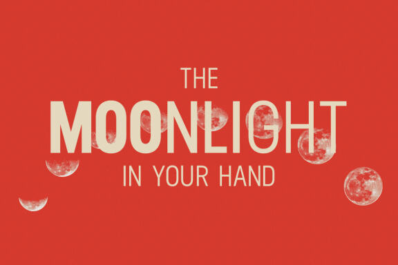 Orecla Sans Serif Display Font