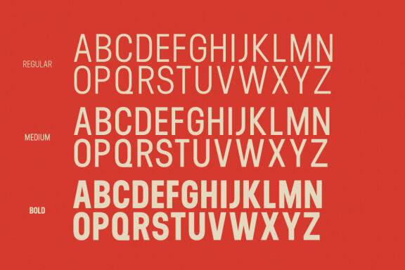 Orecla Sans Serif Display Font