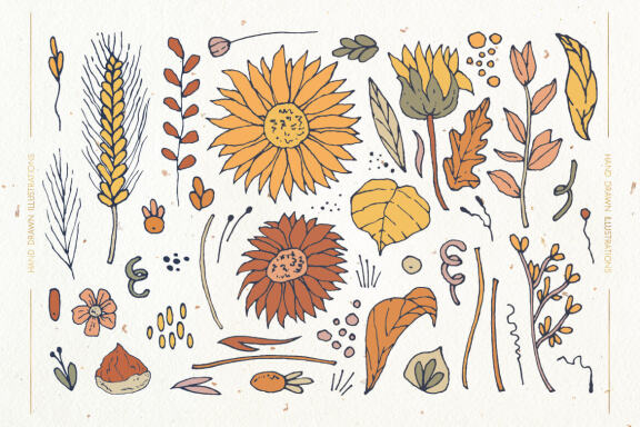Happy Sunflowers Patterns and Illustrations