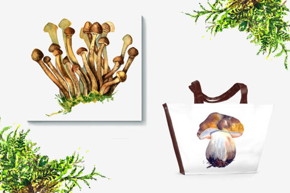 Watercolor forest mushrooms clipart, Autumn Clipart