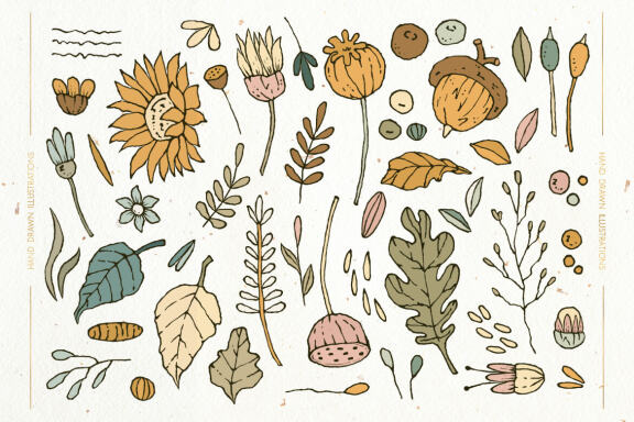 Autumn Harmony Patterns and Illustrations