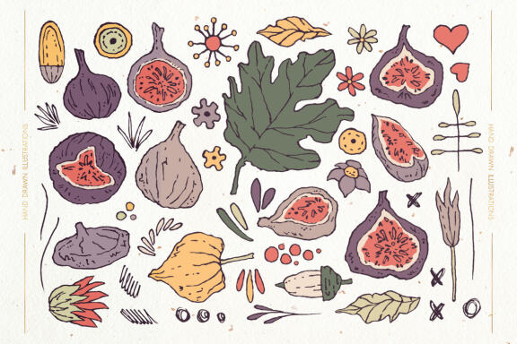 The Sweetest Fig Patterns and Illustrations