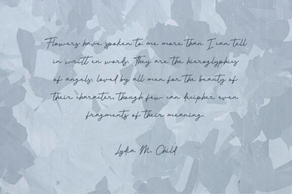 Morning FREE Signature Script