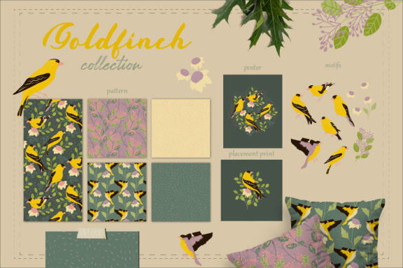 Backyard birds pattern and illustration collection