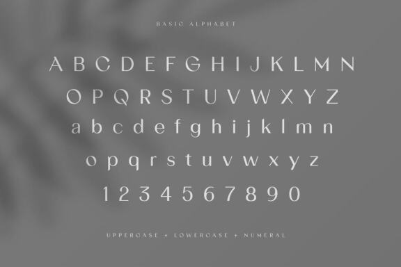 Gracela Sans Serif Elegant