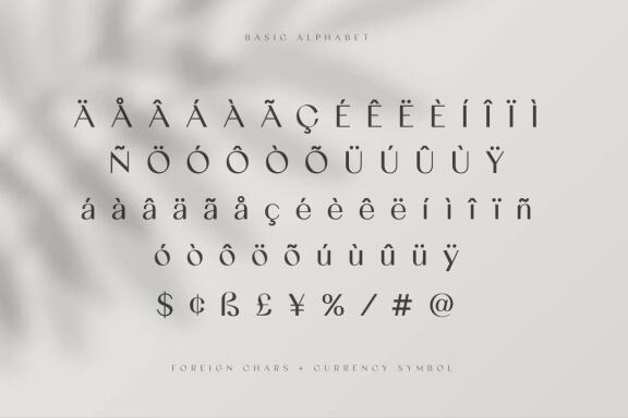 Gracela Sans Serif Elegant
