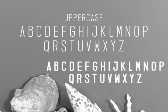 Zeneca Rounded