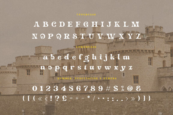 Wifelove - Groovy Retro Serif