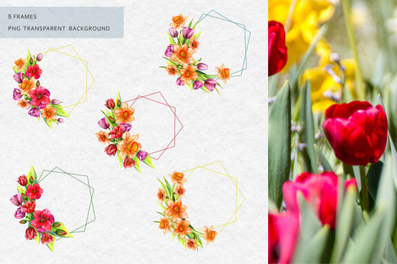 Daffodils and tulips. Watercolor set