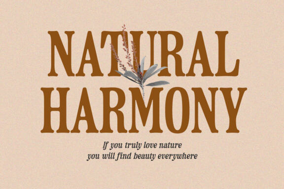 Sunday Romantic - Condensed Serif