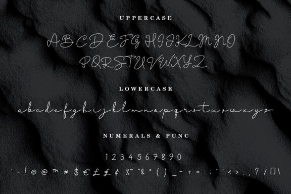 FRANKLIN BENJAMIN | LUXURY SCRIPT FONT