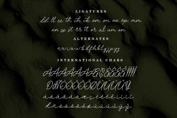 ORYZA SATIVA | MONOLINE SCRIPT FONT