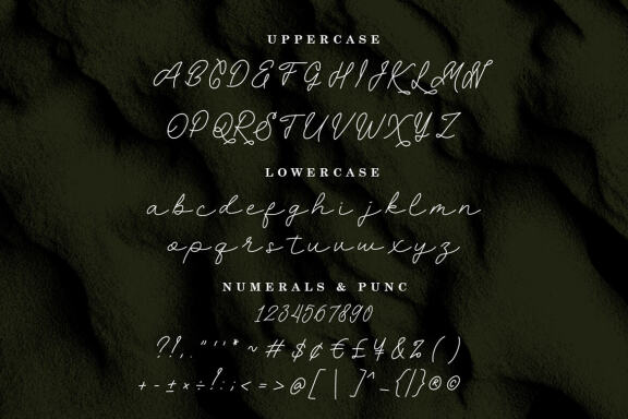 ORYZA SATIVA | MONOLINE SCRIPT FONT