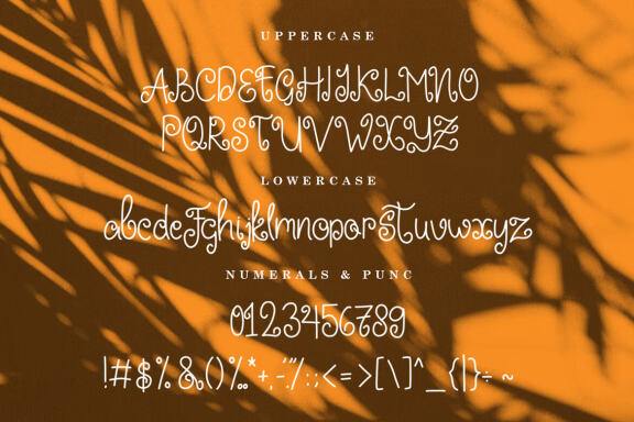 HIPPIE NIRVANA | FREE DISPLAY FONT
