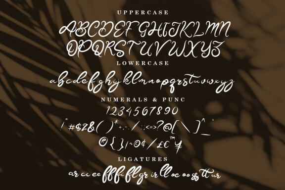 BETTARHIYA | MODERN SCRIPT FONT
